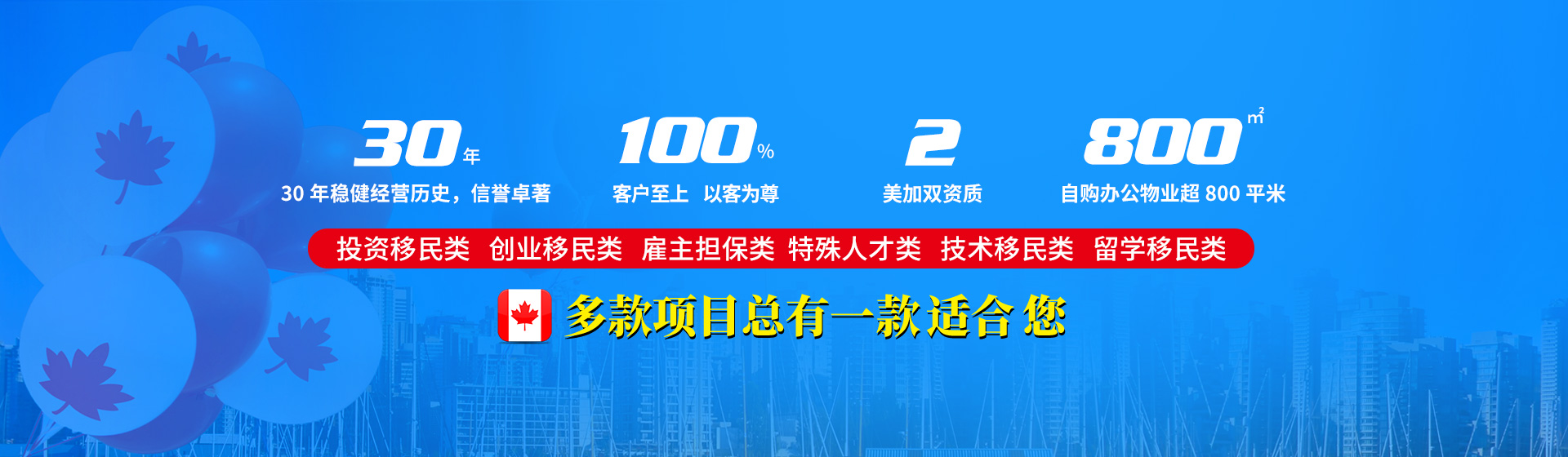 公司優(yōu)勢(shì)